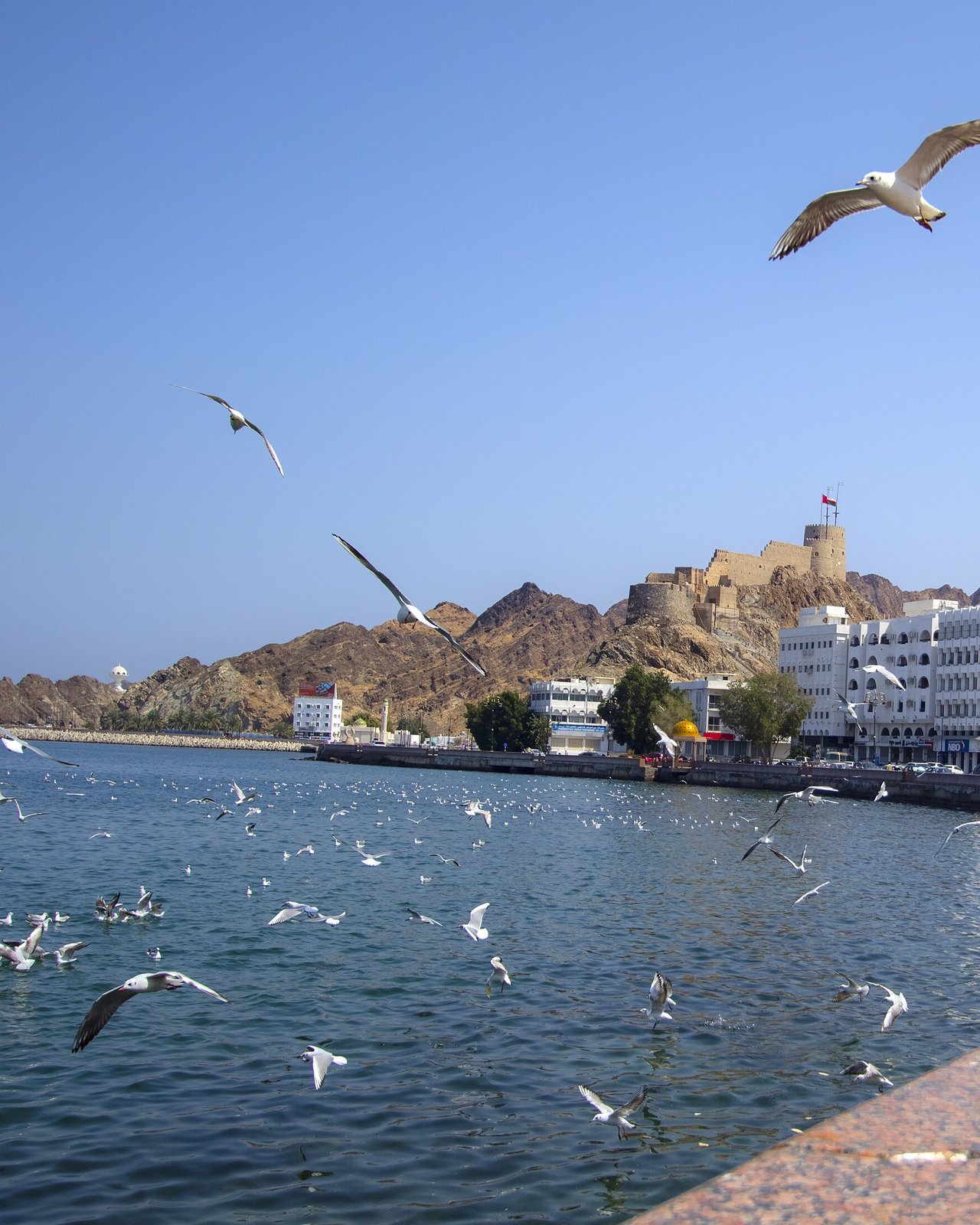 Muttrah Corniche waterfront in Muscat, Oman with the historic fort and Hajar mountains